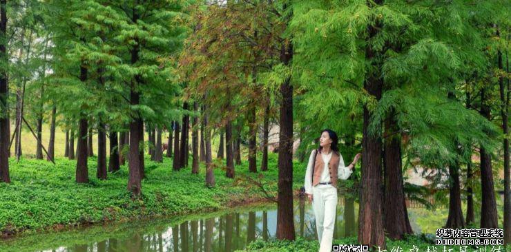 森波拉温泉_森波拉温泉好玩吗_森波拉温泉度假村攻略