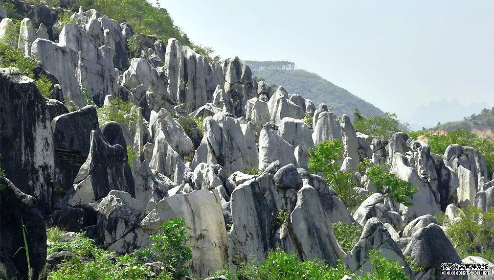 贺州温泉票价多少_温泉贺州三天旅游攻略_贺州温泉
