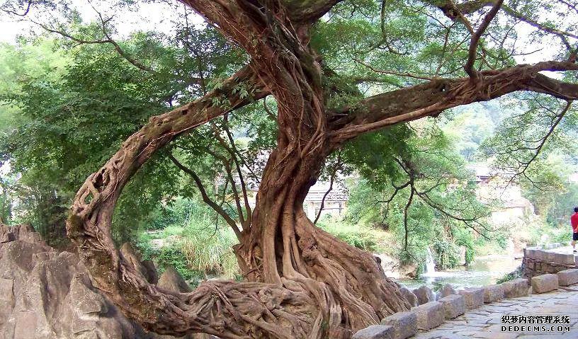 贺州温泉_温泉贺州三天旅游攻略_贺州温泉票价多少