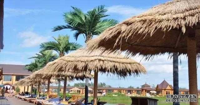 黑龙江室内温泉_黑龙江温泉_黑龙江泡温泉