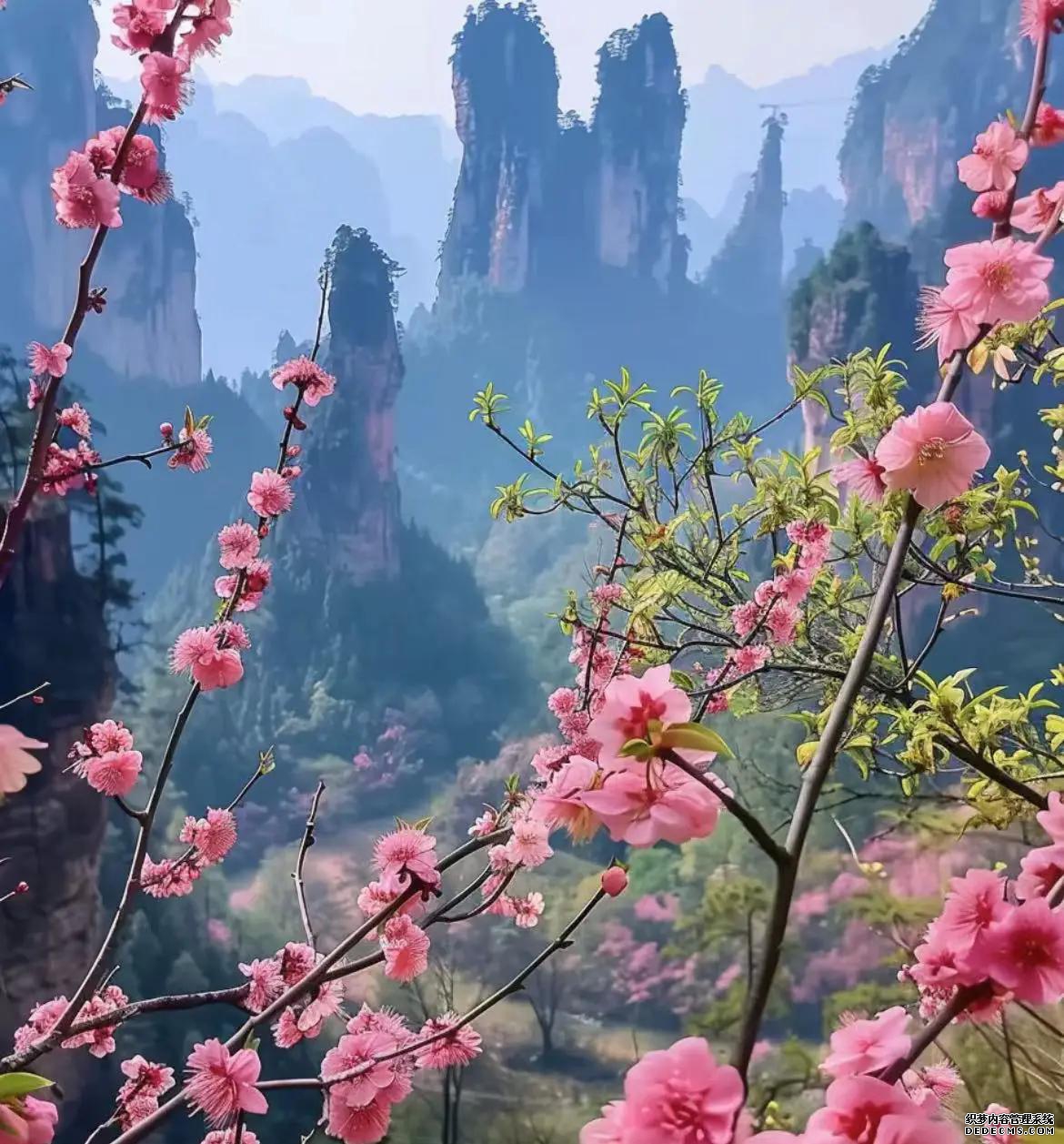 张家界温泉_张家界温泉之乡是哪个城市_张家界旅游温泉