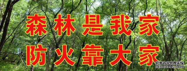 艾山温泉门票价格_艾山温泉是男女分开泡吗_艾山温泉