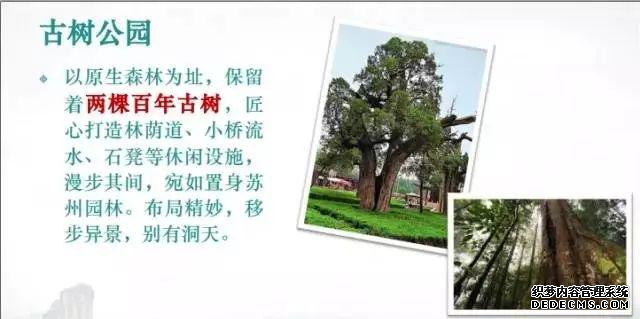 温泉惠州有哪些温泉_惠州温泉哪家最好_惠州温泉