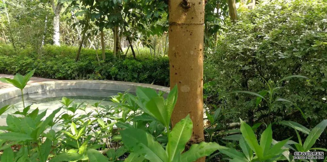 惠州温泉_惠州温泉哪家最好_温泉惠州有哪些温泉