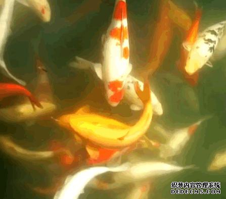 观唐温泉门票_观唐温泉有服务吗_观唐温泉