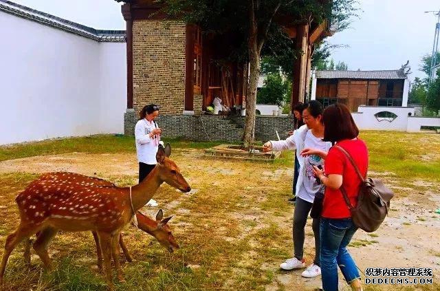 观唐温泉门票_观唐温泉有服务吗_观唐温泉