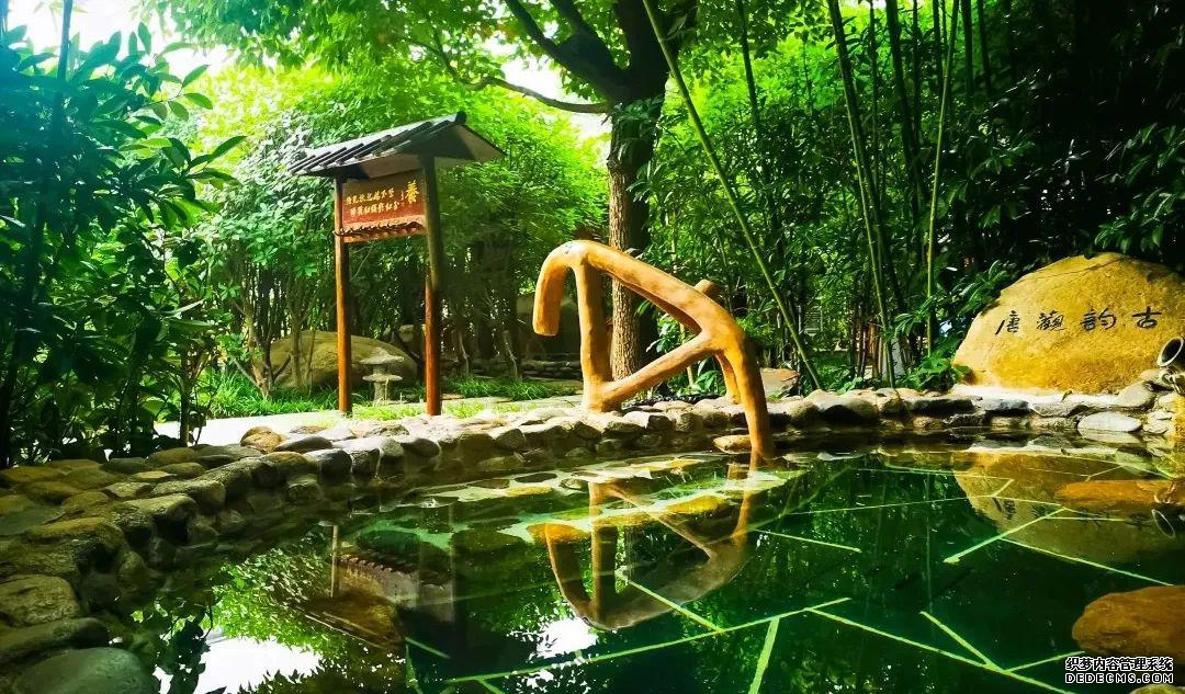 观唐温泉_观唐温泉门票_观唐温泉需要带泳衣吗
