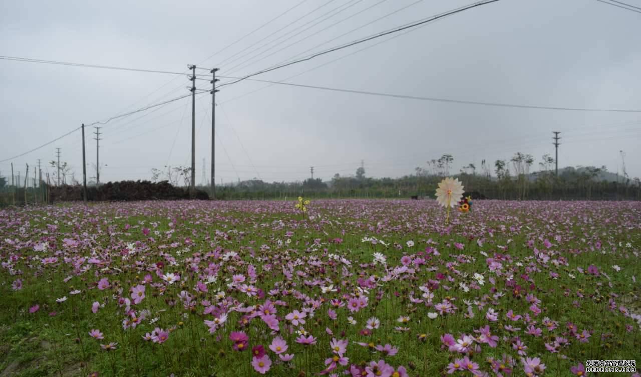 金水台温泉小镇_金水台温泉_金水台温泉住宿价格