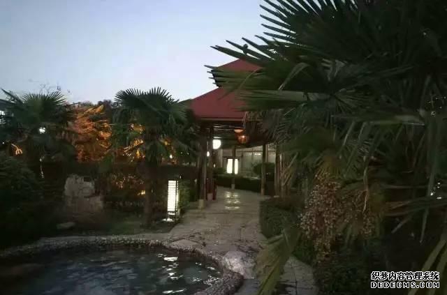 金孔雀温泉_金孔雀温泉在哪_金孔雀温泉度假村