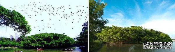 古兜温泉住哪个酒店好_古兜温泉门票价格_古兜温泉