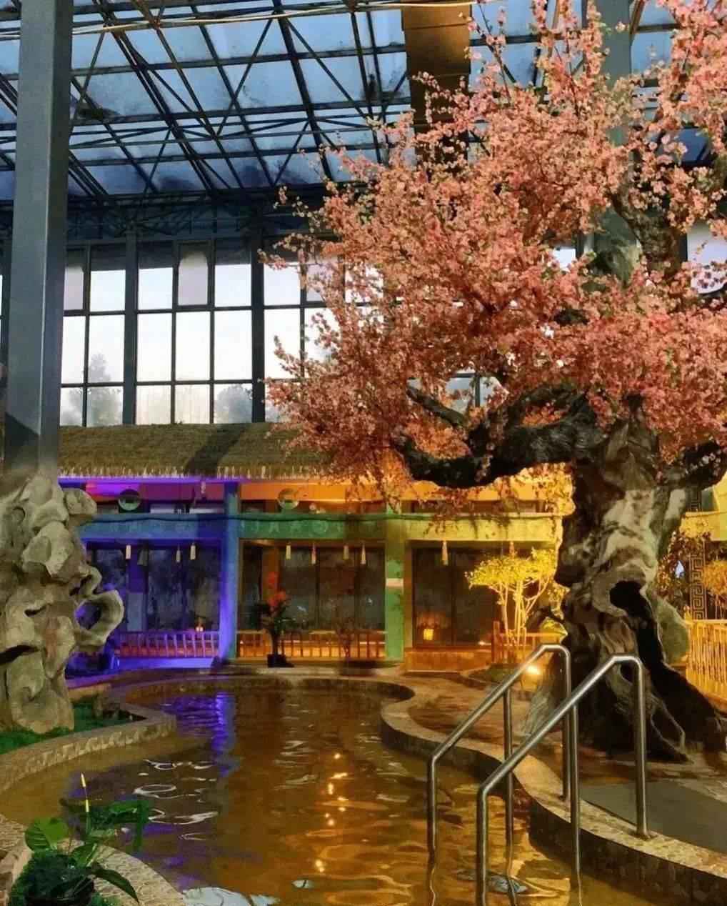 碧水湾温泉票_碧水湾温泉_碧水湾泡温泉