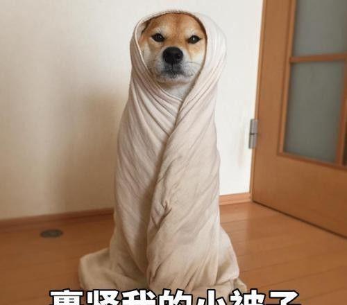 唐风温泉_唐风温泉老板是谁_唐风露天温泉