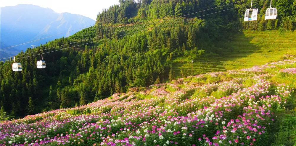 龙胜温泉酒店_龙胜温泉_广西龙胜温泉住宿价格