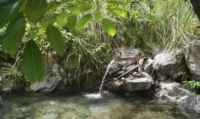 聚龙湾温泉_聚龙湾温泉度假村_聚龙湾温泉度假酒店