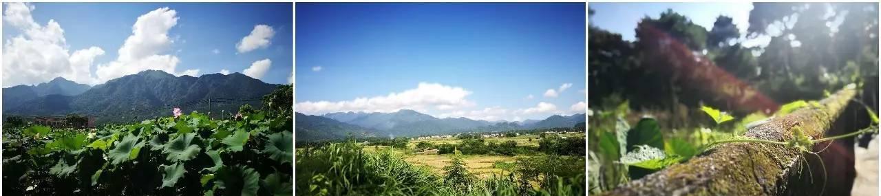 枫湾温泉度假村_枫湾温泉_枫湾温泉门票多少钱