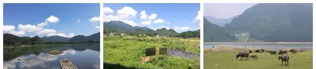 枫湾温泉门票多少钱_枫湾温泉_枫湾温泉度假村
