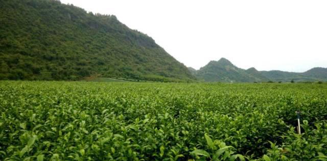温泉山洞_洞内温泉_奇洞温泉