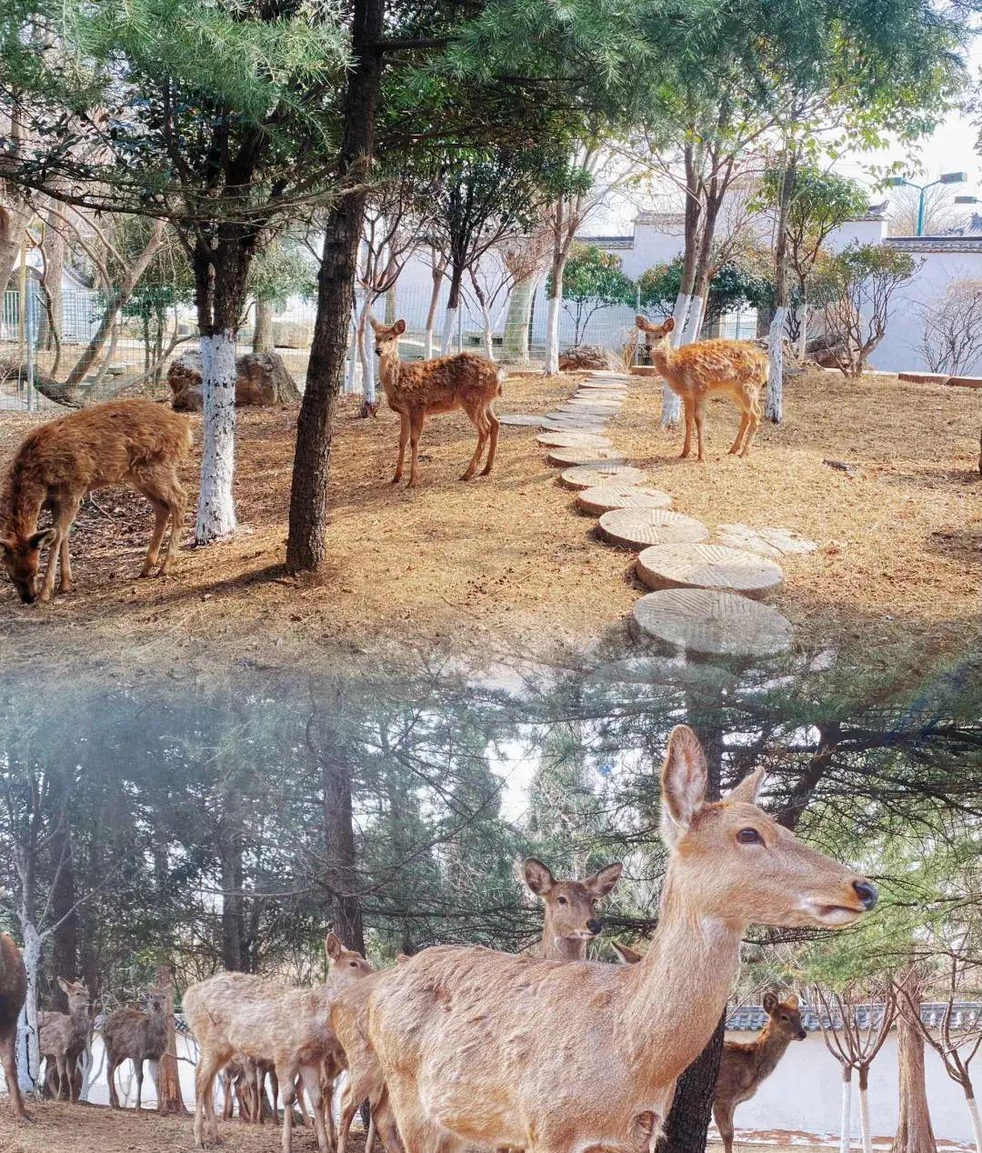 观唐温泉有服务吗_观唐温泉_观唐温泉是室内还是室外
