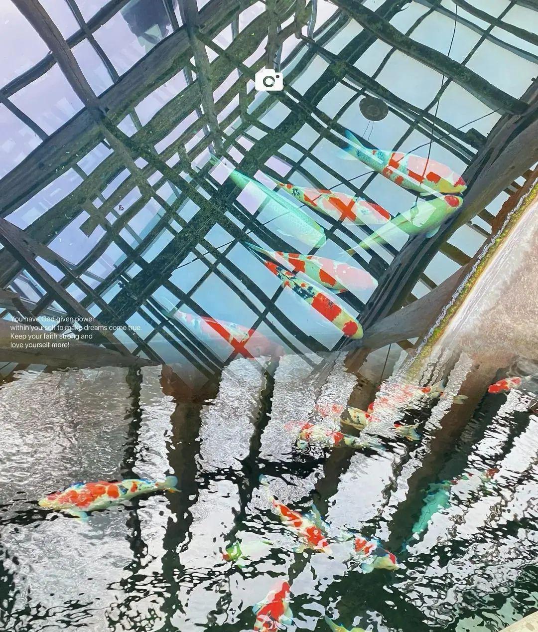观唐温泉_观唐温泉是室内还是室外_观唐温泉有服务吗