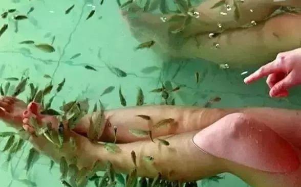 团泊湖温泉城_团泊镇温泉_团泊湖温泉