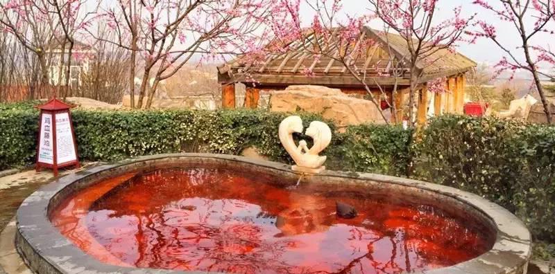 白鹿温泉_白鹿温泉门票多少钱_白鹿温泉旅游度假景区