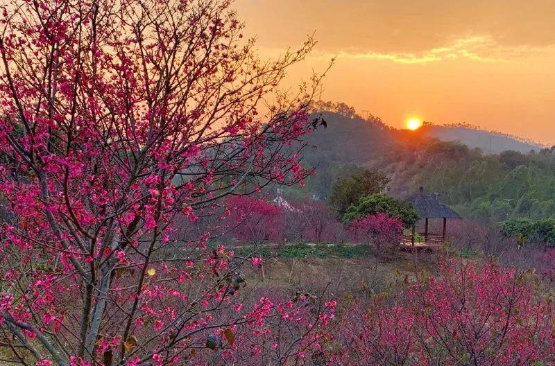 温泉龙山矿坑_龙山温泉_温泉龙山海拔