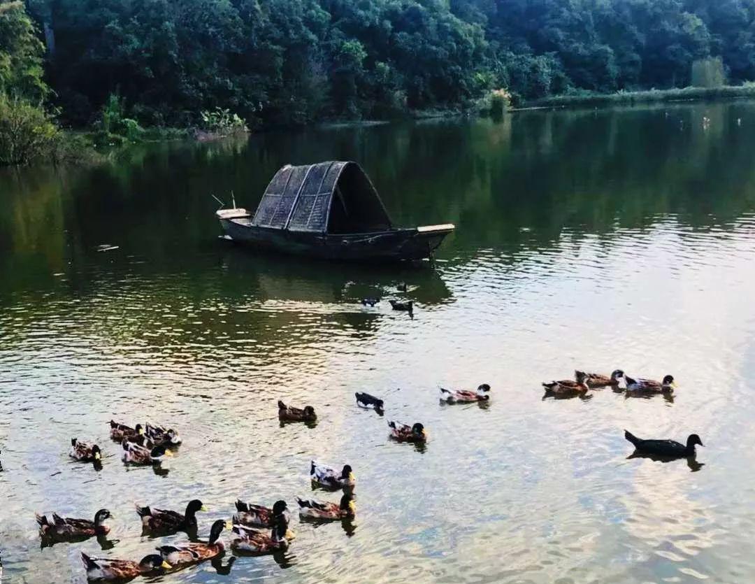 龙山温泉_温泉龙山矿坑_温泉龙山海拔