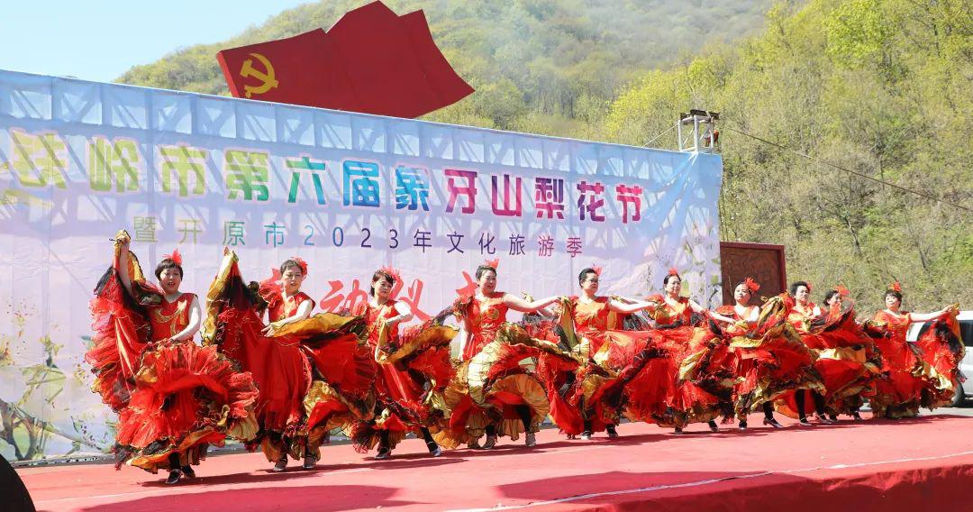 赴一场梨花之约——我市第六届象牙