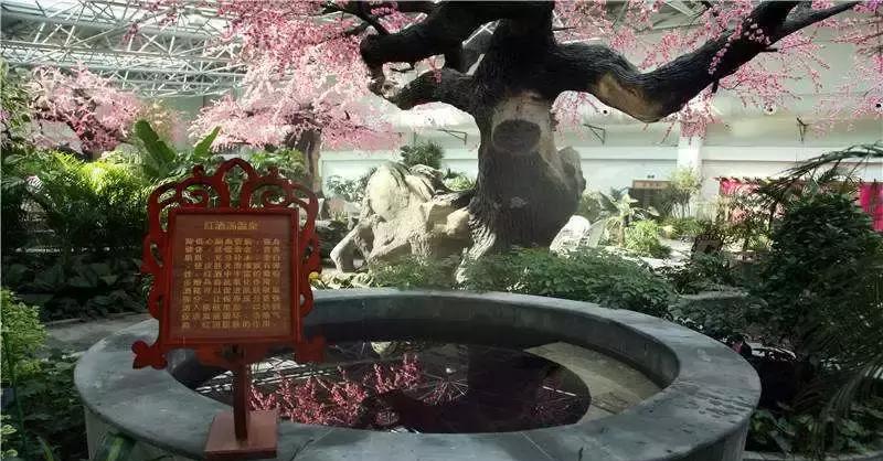 兴城温泉旅店_兴城温泉价格_兴城温泉