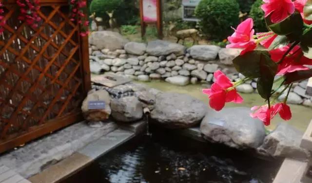 兴城温泉价格_兴城温泉旅店_兴城温泉