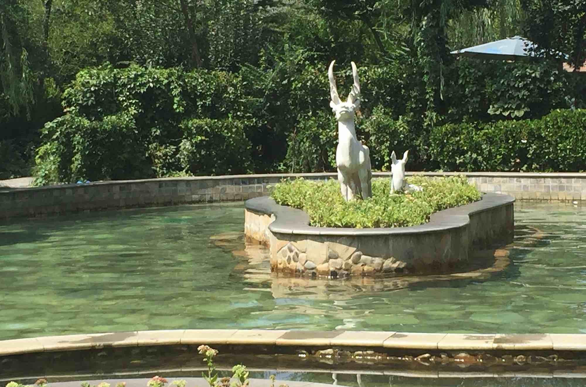 白鹿温泉门票团购_白鹿温泉旅游度假景区_白鹿温泉