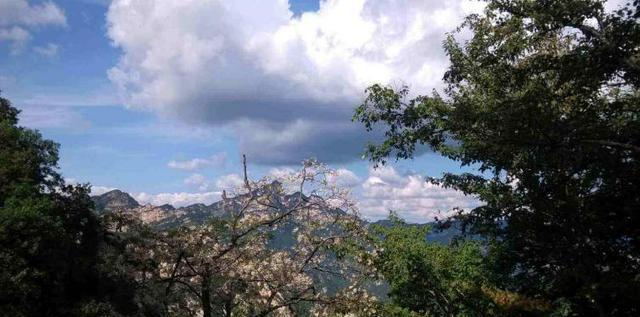 白鹿温泉_白鹿温泉门票团购_白鹿温泉旅游度假景区