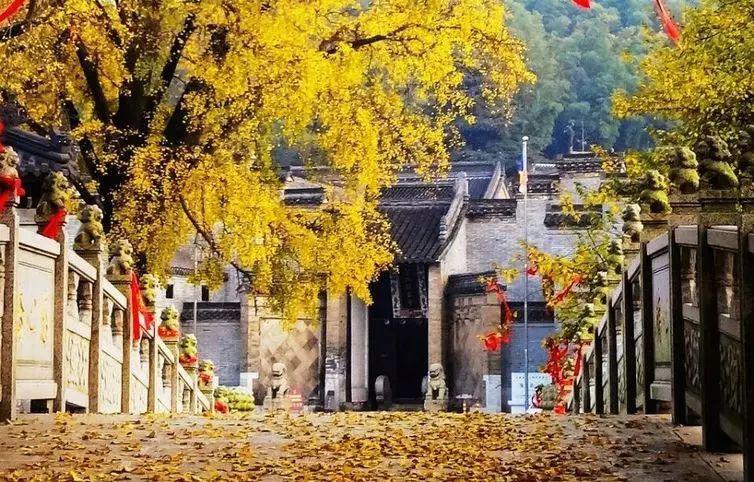 颐尚温泉_颐尚温泉开放时间_颐尚温泉有没有情侣包间