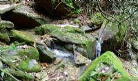 骆驼山海滨森林公园