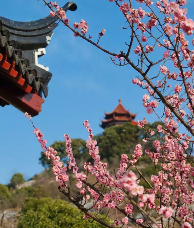 颐尚温泉有没有情侣包间_颐尚温泉_颐尚温泉度假酒店