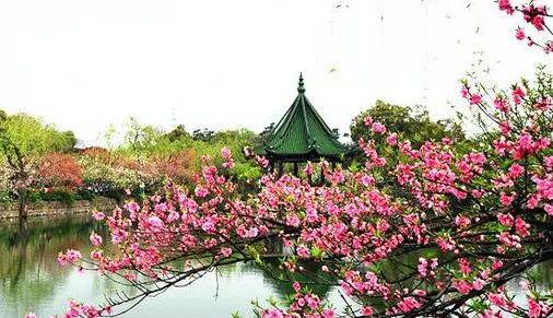 颐尚温泉有没有情侣包间_颐尚温泉_颐尚温泉度假酒店