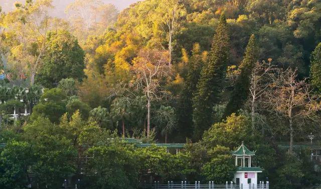 小汤山温泉_小汤山龙脉温泉电话_小汤山玫瑰温泉酒店
