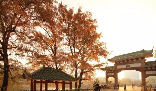 小汤山玫瑰温泉酒店_小汤山龙脉温泉电话_小汤山温泉
