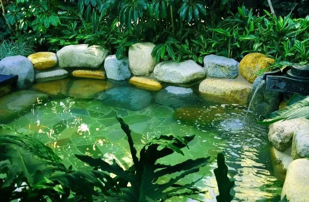 日月谷温泉_日月温泉谷住宿多少钱_日月谷温泉要带泳帽吗