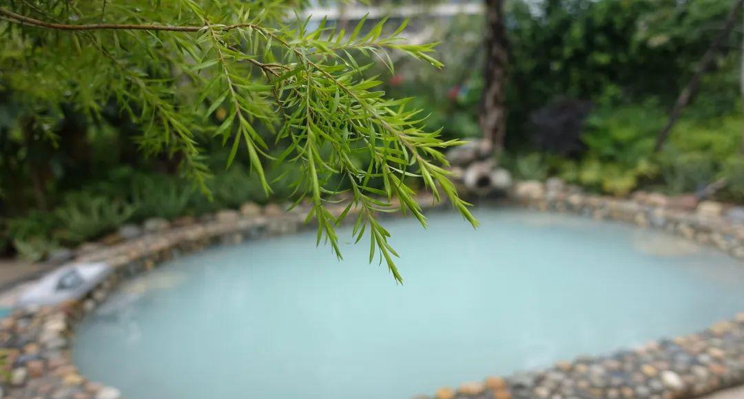 日月谷温泉日记_日月温泉谷住宿多少钱_日月谷温泉