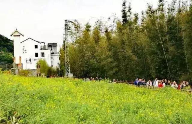 地派温泉进了去后_地派温泉_温泉圣地