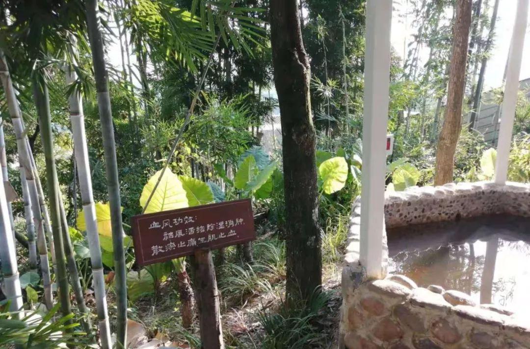 龙门大观园温泉度假酒店_龙门最好的温泉酒店排名_龙门温泉