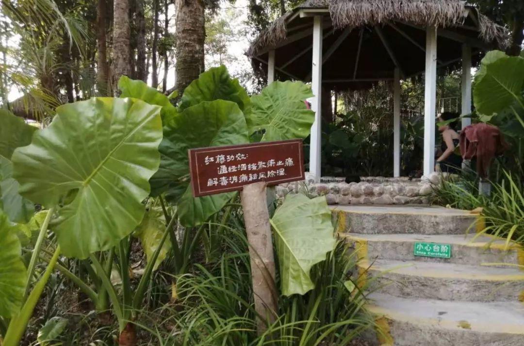 龙门大观园温泉度假酒店_龙门温泉_龙门最好的温泉酒店排名