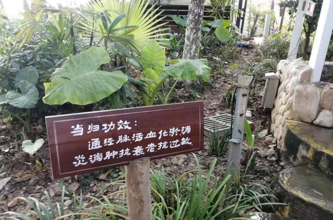 龙门温泉_龙门大观园温泉度假酒店_龙门最好的温泉酒店排名