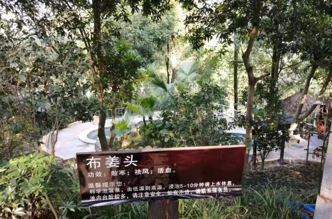 龙门温泉_龙门大观园温泉度假酒店_龙门最好的温泉酒店排名
