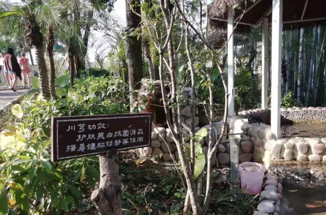 龙门大观园温泉度假酒店_龙门最好的温泉酒店排名_龙门温泉