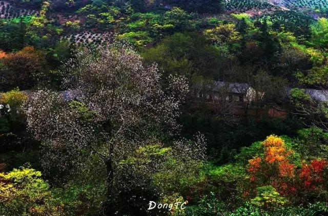 温泉汤池种类_应城温泉汤池_汤池温泉
