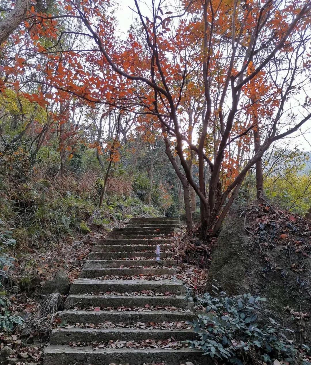 应城温泉汤池_汤池温泉_温泉汤池种类