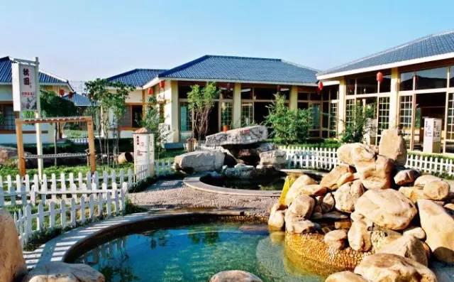 天津温泉酒店_温泉天津哪家性价比不错_天津温泉