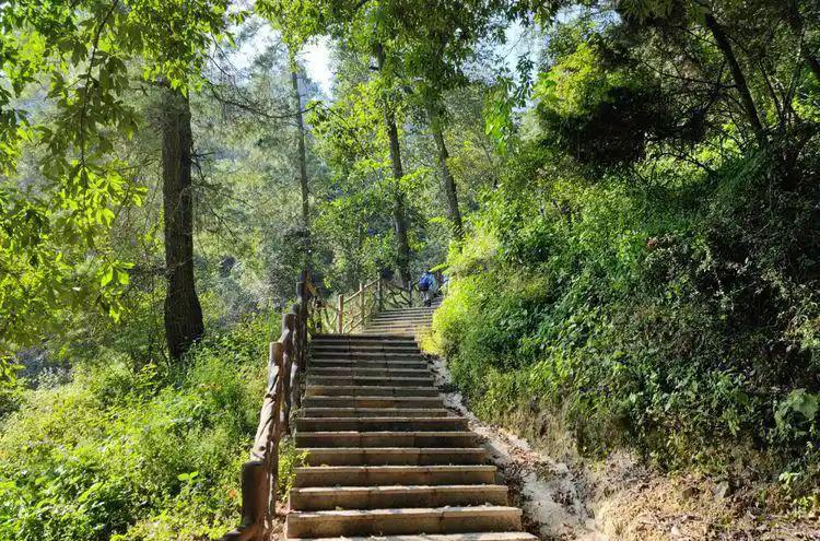 走森林步道、下陡峭山坡，我们去安